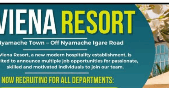 Java House Hiring Cook - Opportunities for Young Kenyans